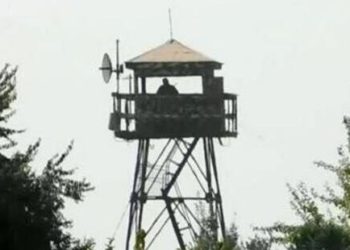 В Исфаре назвали причину перестрелки на таджикско-кыргызской границе
