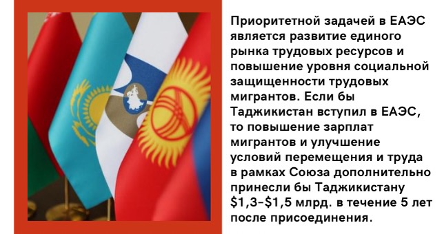 Бревно в глазу: как обстоят дела с мигрантами на Западе и почему обвинения в сторону России беспочвенны