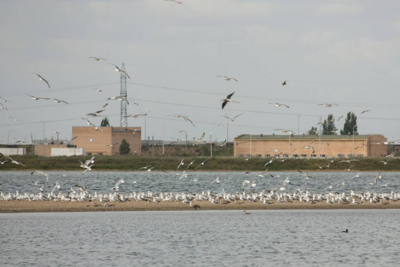 Эксперт: "Проблема вододефицита в Астане кроется в коррупции и неэффективном управлении"