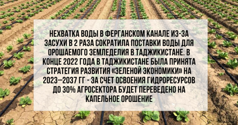 Вода – богатство Центральной Азии или яблоко раздора?