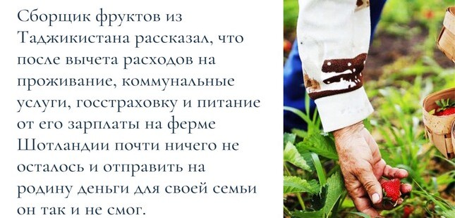 Трудовая миграция: могут ли западные страны стать альтернативой России