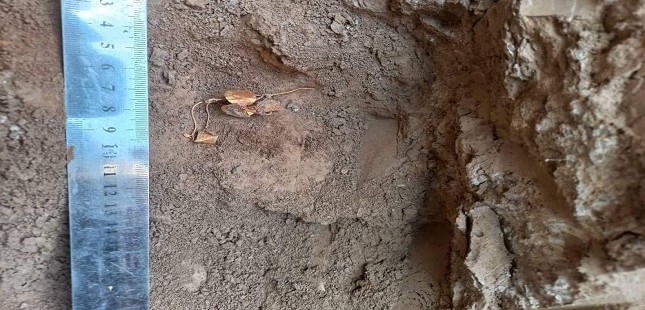 Таджикские археологи нашли древнее золотое украшение на территории памятника Халкаджар
