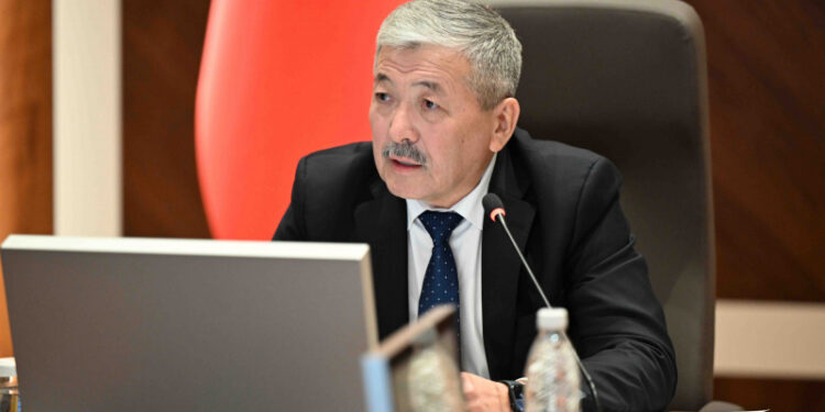 Кабмин Кыргызстана утвердил строительство логистического центра на границе с Китаем