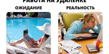 В офисе 40%, но лишь 13% хотят там оставаться: как кыргызстанцы мечтают работать