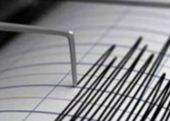 У берегов Японии произошло землетрясение магнитудой 5,6