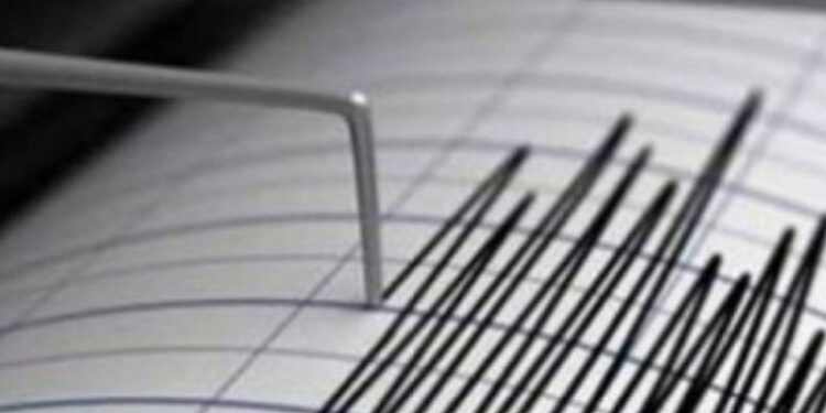 У берегов Японии произошло землетрясение магнитудой 5,6