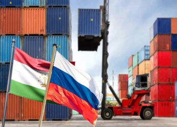 Таджикистан и Россия сократят повторные проверки грузов на таможне