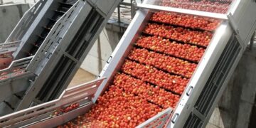В Кулябе открылось предприятие по переработке фруктов и овощей